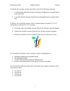 (1) Identify the secondary structure described in each of the