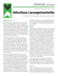 Infectious Laryngotracheitis - Michigan State University Extension