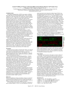 Genetic Profiling of Changes Underlying Different Sized Human