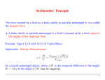 Archimedes` Principle - FSU