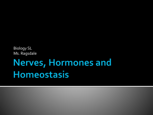 Nerves, Hormones and Homeostasis