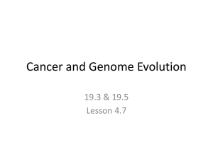 Cancer and Genome Evolution