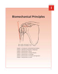 Biomechanical Principles