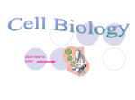 Commercial uses of cells: FUNGUS