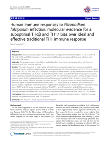 Human immune responses to Plasmodium