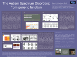 The Autism Spectrum Disorders: from gene to function