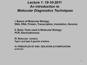 molecular diagnositics - the Genomics Lab at UMK