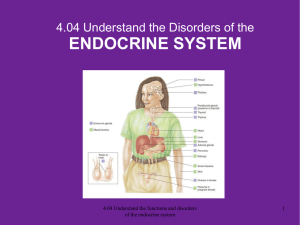 The Endocrine System