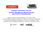Stylolite formation process: Surface Roughness