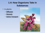 1.4: How Organisms Take in Substances