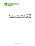 Broadband Network Gateway and Network Function Virtualization