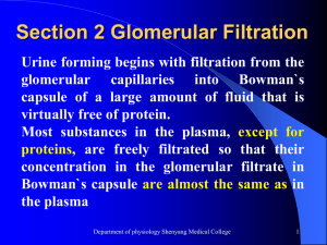 Section 2 Glomerular Filtration