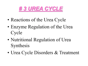 Nitrogen-containing components of normal urine Urea Cycle The