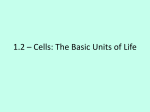 1.2 * Cells: The Basic Units of Life