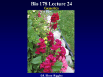 Biol 178 Lecture 24
