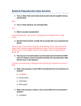 Bacteria Reproduction Quiz Answers