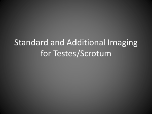 Standard and Additional Imaging for Testes
