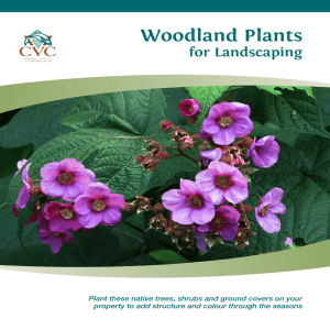 Woodland Plants - Credit Valley Conservation