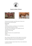 Cushings disease - The Acorns Equine Clinic