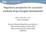 Regulatory perspective for successful antibody