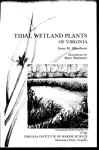 wetland plants - Virginia Institute of Marine Science