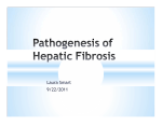 Pathogenesis of Liver Fibrosis(Smart 2011)
