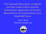 Invasive Fishes of the Colorado River basin