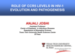 role of ccr5 levels in hiv-1 evolution and pathogenesis
