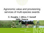 1.1. Agronomic value and provisioning services of multi