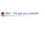 Skin – It`s got you covered!