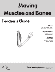 Moving Muscles and Bones Guide