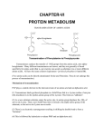 CHAPTER-VI PROTEIN METABOLISM