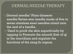 DERMAL NEEDLE THERAPY p.355