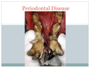 Dentistry- KJT- STUDENT part 5