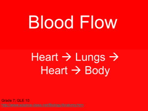 Blood Flow - WBR Teacher Moodle