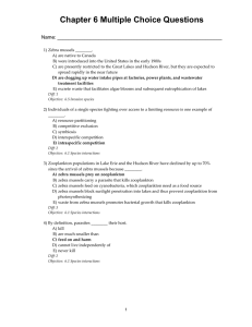 1 Chapter 6 Multiple Choice Questions Name: 1 1) 1 Zebra mussels