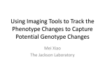 Using Imaging Tools to Track the Phenotype Changes to Capture