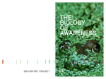 the biology of awareness