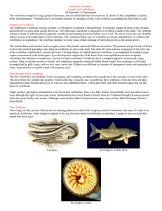 Introduction to Vertebrates _Notes - Extra Notes