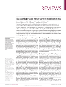 Bacteriophage resistance mechanisms