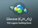 Glucose (C6H12O6) - Mrs. Durako`s Classroom