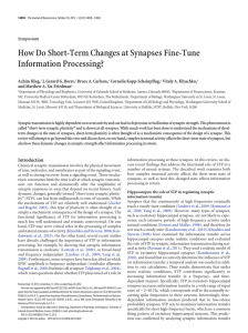 How Do Short-Term Changes at Synapses Fine