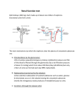 Renal function test (RFT)