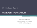 B.A. II Psychology – Paper A MOVEMENT PERCEPTION
