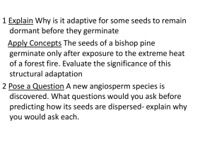 Ch 24 Plant Reproduction and Response