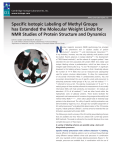 Specific Isotopic Labeling of Methyl Groups has Extended the