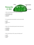 Photosynthesis Quiz
