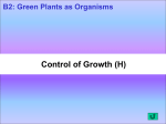 Control of Growth