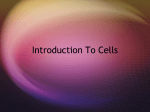 Cells Introduction - Madison County Schools