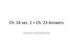 Ch. 24 sec. 1 + Ch. 23 Answers